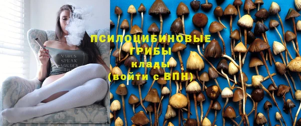 индика Краснотурьинск