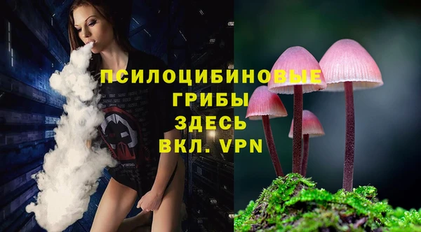 дмт Кулебаки