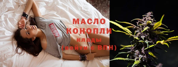 дмт Кулебаки