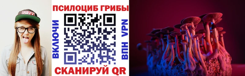 магазин продажи   Хвалынск  Псилоцибиновые грибы Cubensis 